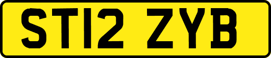 ST12ZYB