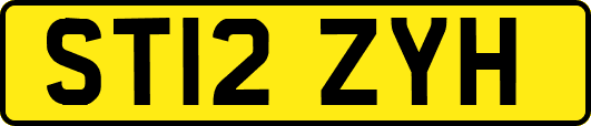 ST12ZYH