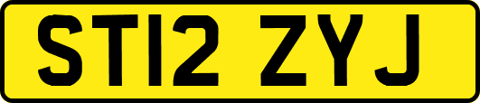 ST12ZYJ