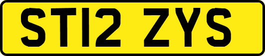 ST12ZYS
