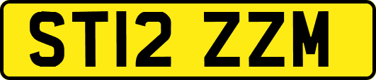 ST12ZZM