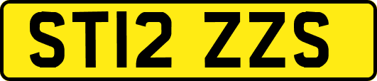 ST12ZZS