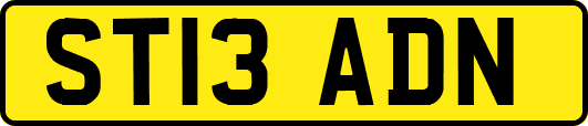ST13ADN