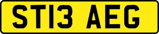 ST13AEG