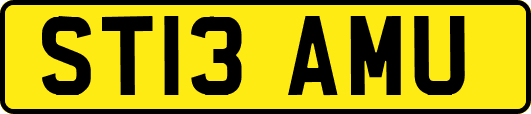 ST13AMU