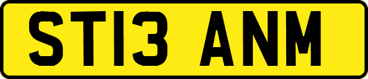 ST13ANM