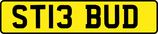 ST13BUD
