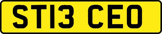 ST13CEO