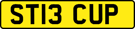 ST13CUP