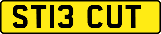 ST13CUT