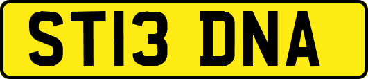 ST13DNA