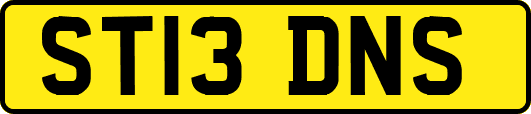ST13DNS