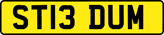 ST13DUM