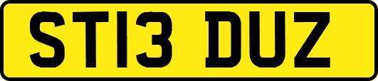 ST13DUZ