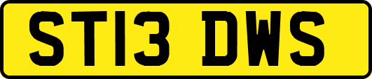 ST13DWS