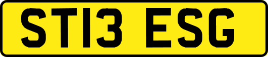 ST13ESG