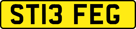 ST13FEG