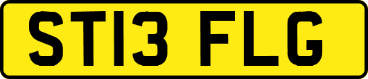 ST13FLG