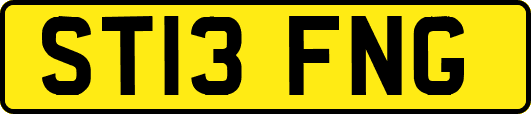 ST13FNG