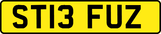 ST13FUZ