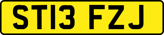 ST13FZJ