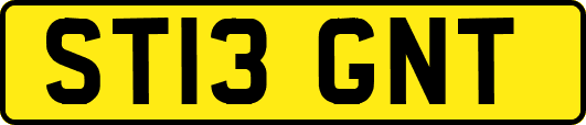 ST13GNT