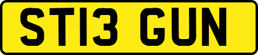 ST13GUN
