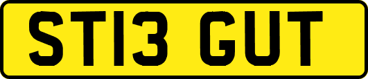ST13GUT