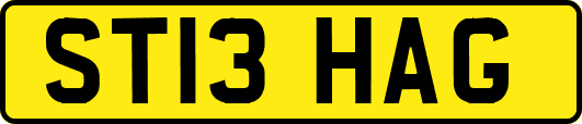 ST13HAG