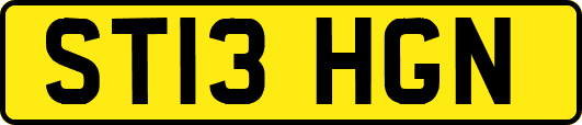 ST13HGN