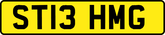 ST13HMG