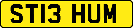 ST13HUM