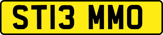 ST13MMO