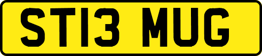 ST13MUG