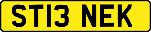 ST13NEK