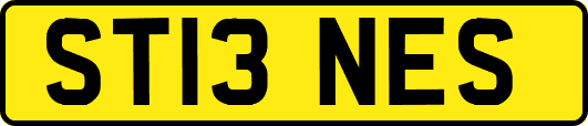 ST13NES