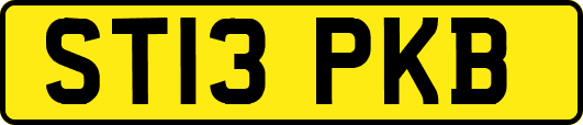 ST13PKB