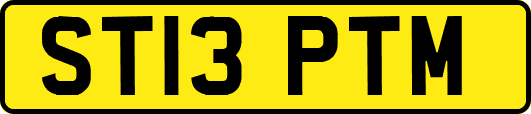 ST13PTM