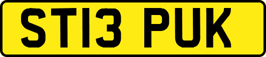ST13PUK