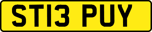ST13PUY