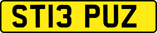 ST13PUZ