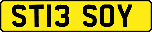 ST13SOY