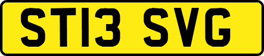 ST13SVG