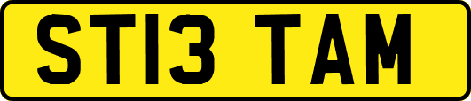ST13TAM