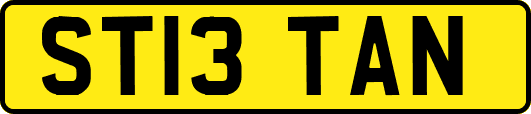 ST13TAN