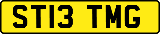 ST13TMG