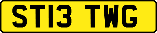ST13TWG