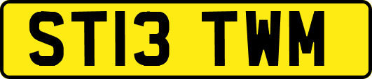 ST13TWM