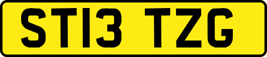 ST13TZG