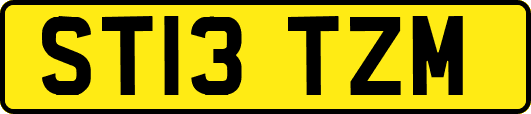 ST13TZM